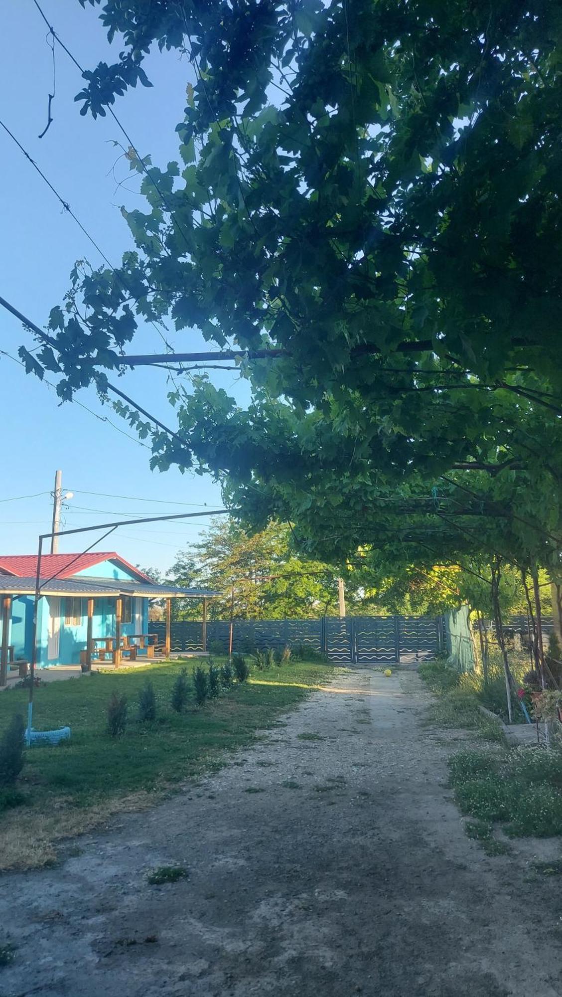 La Olteanu Hotel Vadu Bagian luar foto