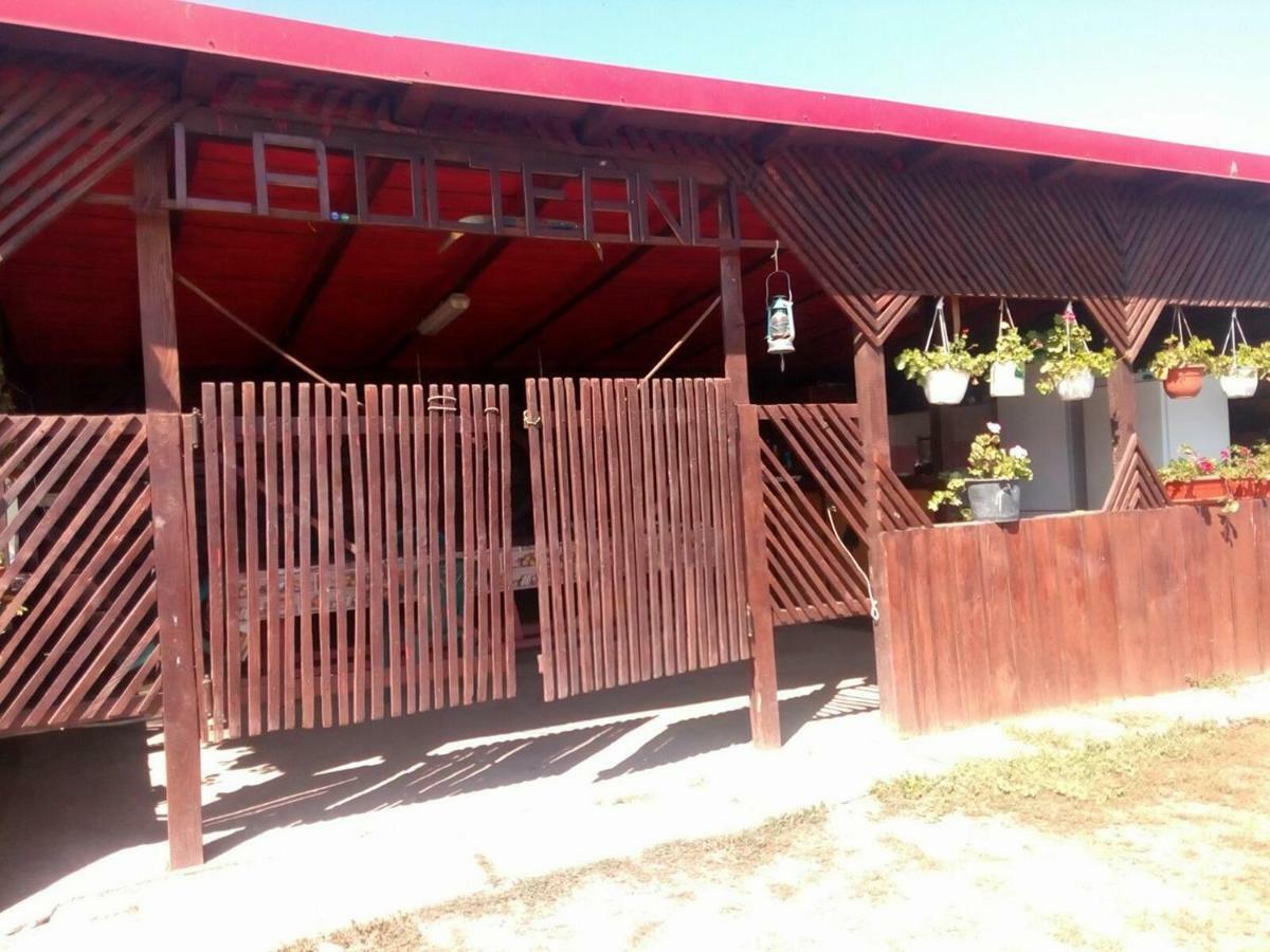 La Olteanu Hotel Vadu Bagian luar foto